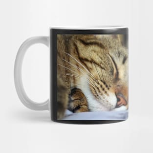 Sleeping Cat Mug